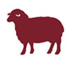 WOOLLINEicon